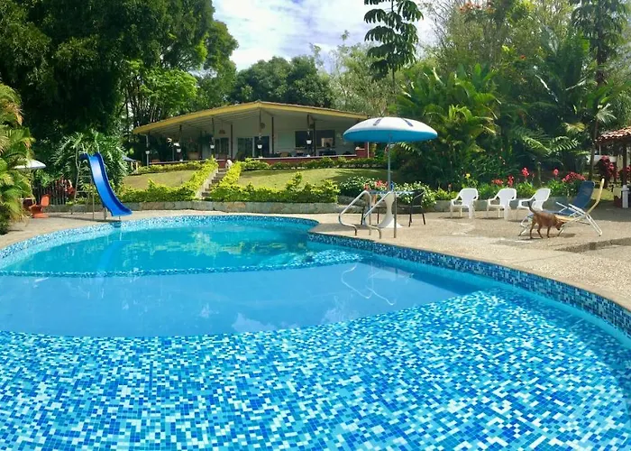 El Jardin De Los Colibries - Pereira, Risaralda