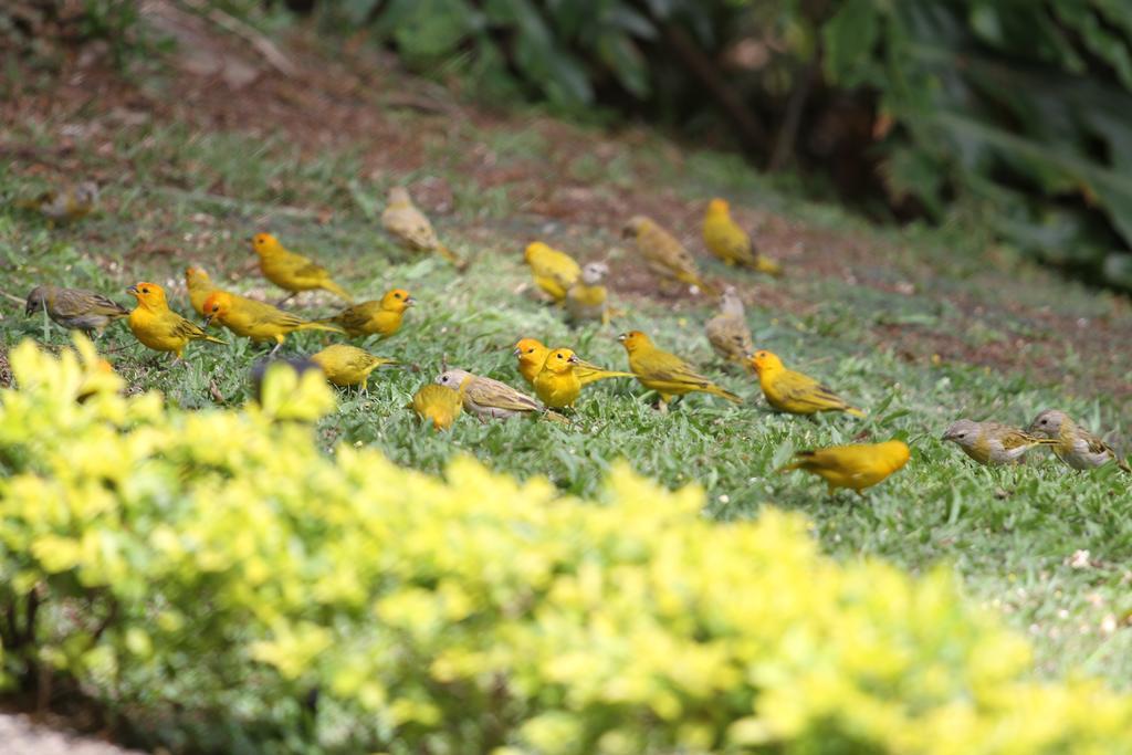 El Jardin De Colibries - Pereira, Risaralda Holiday home
