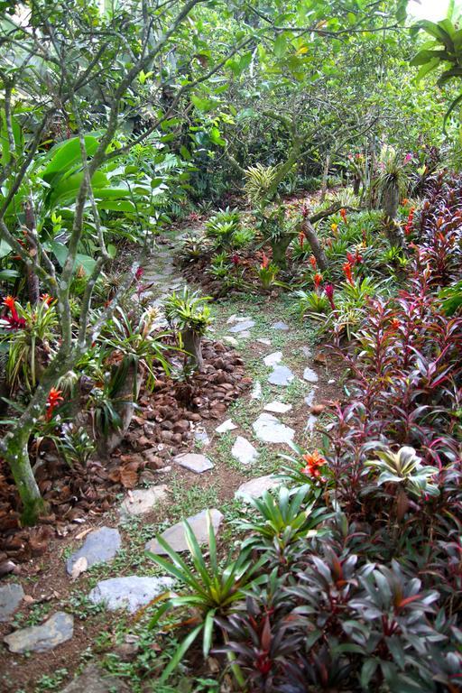 Holiday home El Jardin De Colibries - Pereira, Risaralda *